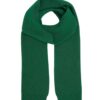 Colorful Standard Merino Wool Scarf Kelly Green
