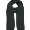 Colorful Standard Meriinovillane Sall Hunter Green