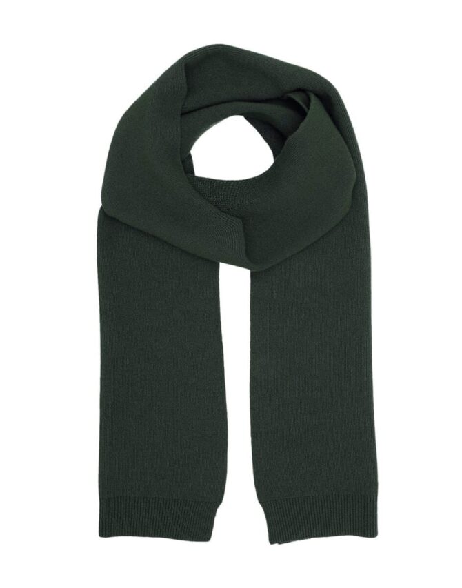 Colorful Standard Meriinovillane Sall Hunter Green