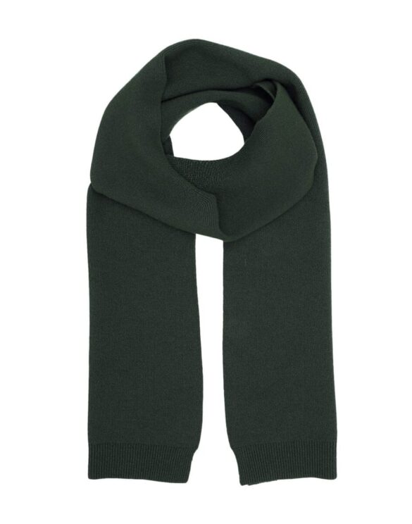 Colorful Standard Merino Wool Scarf Hunter Green