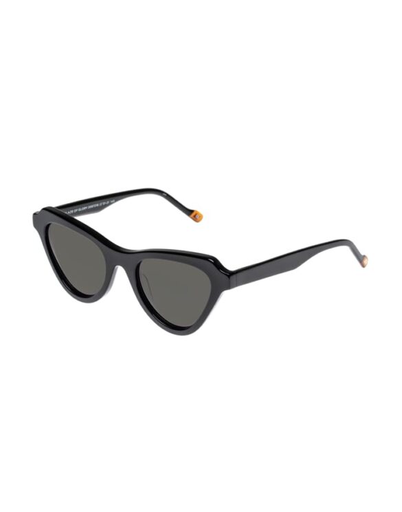 Le Specs Päikeseprillid Blaze Of Glory Päikeseprillid