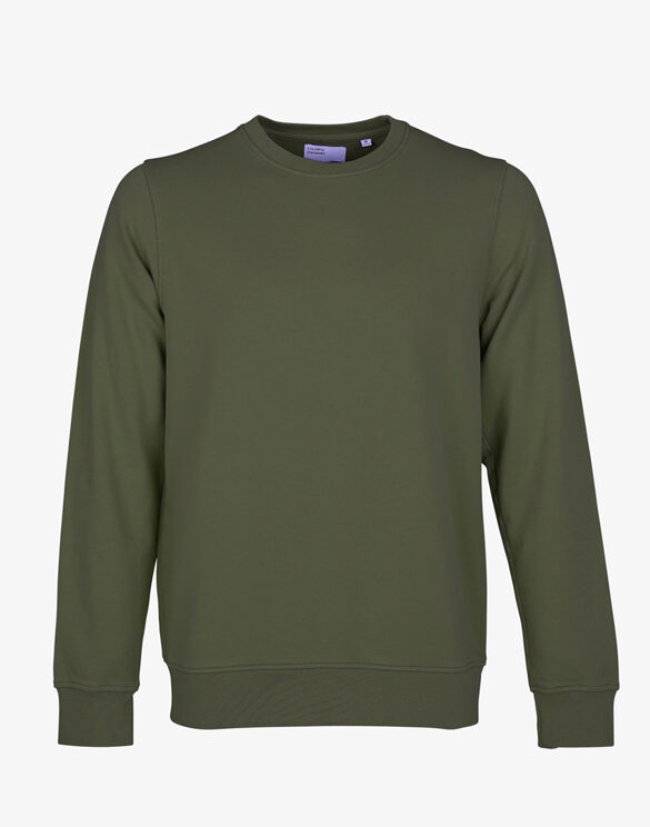 CS-Seaweed-Green.jpg