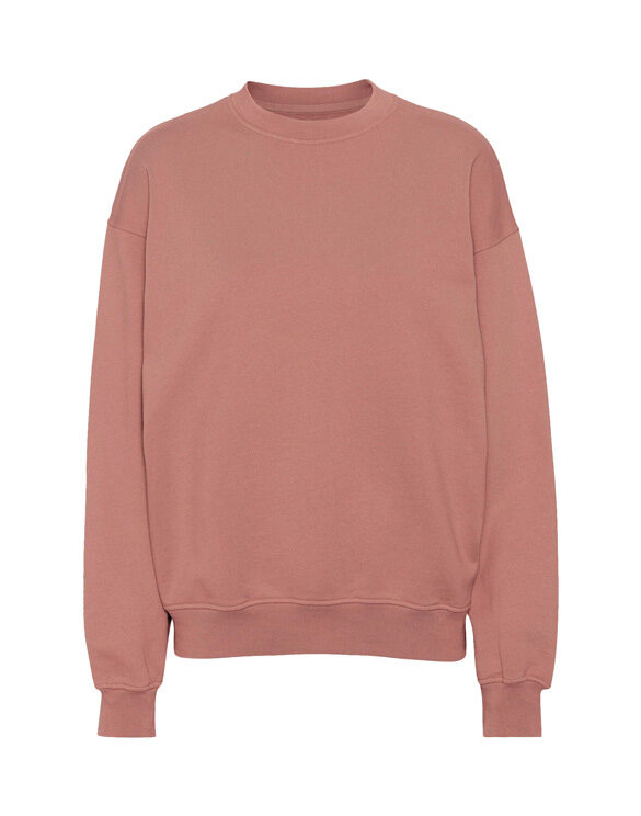Colorful Standard Men Sweaters & hoodies  CS1012-Rosewood Mist