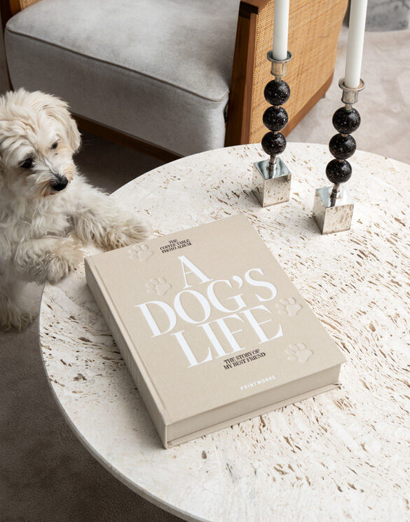 dog album-a dog's life