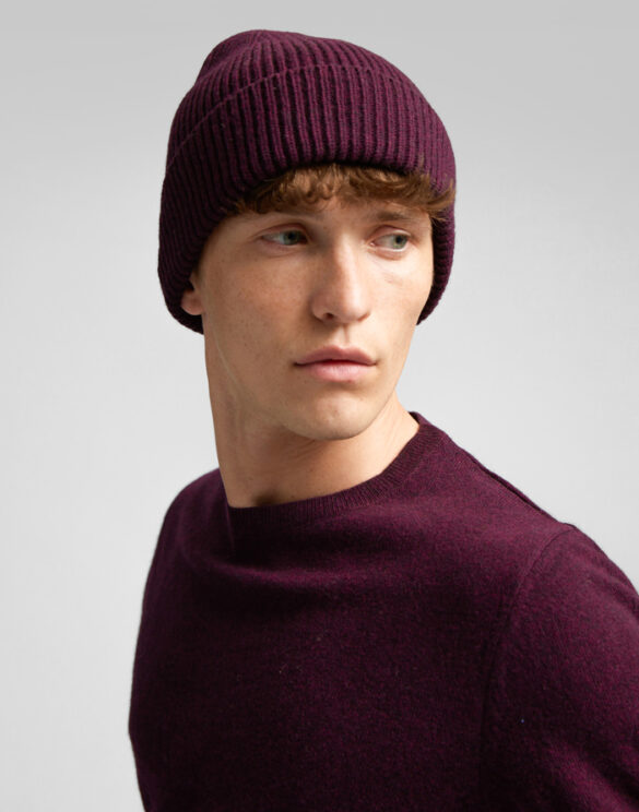CS5081_beanie (2)