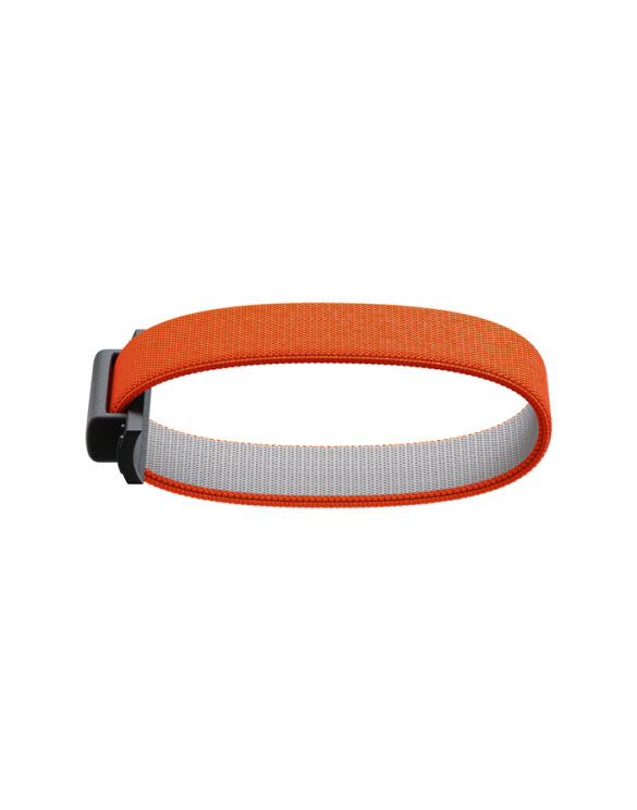 Secrid Accessories Wallets & cardholders Moneybands Add-On Bandwallet Orange ABw-Orange
